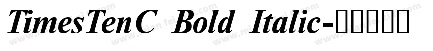 TimesTenC Bold Italic字体转换